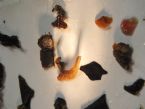 DSCF2341
