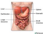 abdominals
