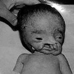 iraqi baby sm