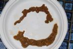 Tapeworm ... (Click to enlarge)