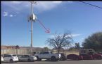 5G TREE DEADa ... (Click to enlarge)
