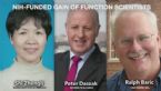 NIH funded Gain of Function Scientists ... (Click to enlarge)