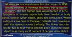 Monkeypox 1st Found in Monkeys Kept for Research ... (Click to enlarge)