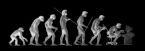 EVOLUTION 2 ... (Click to enlarge)