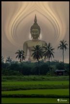 THAILAND BUDDHA ... (Click to enlarge)