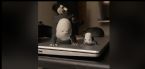 UNINVITED GUESTS 2 ... (Click to enlarge)