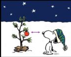 SNOOPY DOG LOOKING AT TREE ... (Click to enlarge)