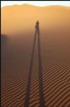 SUFI STORY SHADOW and TREASURE ... (Click to enlarge)