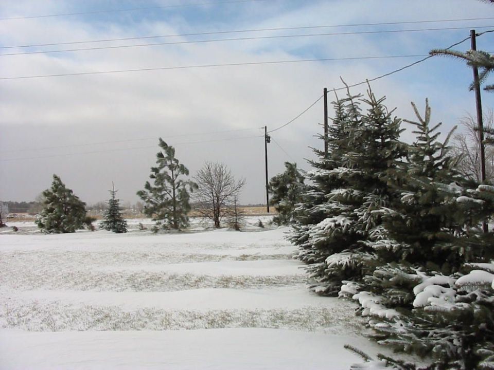 A Winter Wonderland A Winter Wonderland