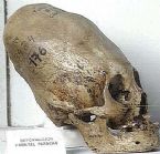 giant skulls 7 ... (Click to enlarge)