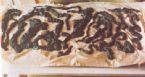 Mucoid Plaque. Photo from Dr. Jensen's  Bowel Management Book ... (Click to enlarge)