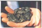 Mucoid Plaque. Photo from Dr. Jensen's  Bowel Management Book ... (Click to enlarge)