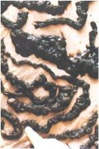 Mucoid Plaque Photo from Dr. Jensen' Bowel Management Book ... (Click to enlarge)