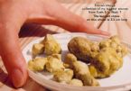 Rusfox: Liver Flush Results ... (Click to enlarge)