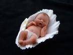 Amazing Miniature Babies by Camille Allen ... (Click to enlarge)